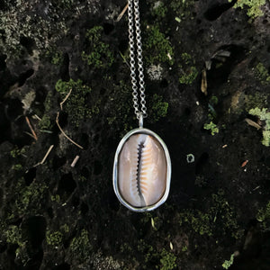 Reversible Cowry Shell Sterling Silver Necklace