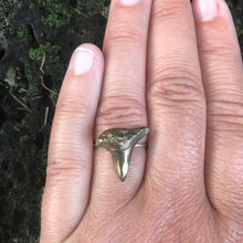 Load image into Gallery viewer, Cast Bronze Shark Tooth Ring
