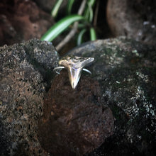 Load image into Gallery viewer, Cast Bronze Shark Tooth Ring
