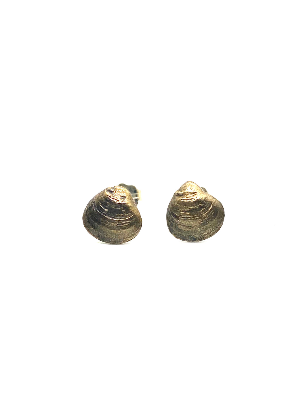 Small Cast Bronze Clam Shell Studs