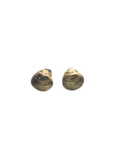 Load image into Gallery viewer, Small Cast Silver Clam Shell Studs
